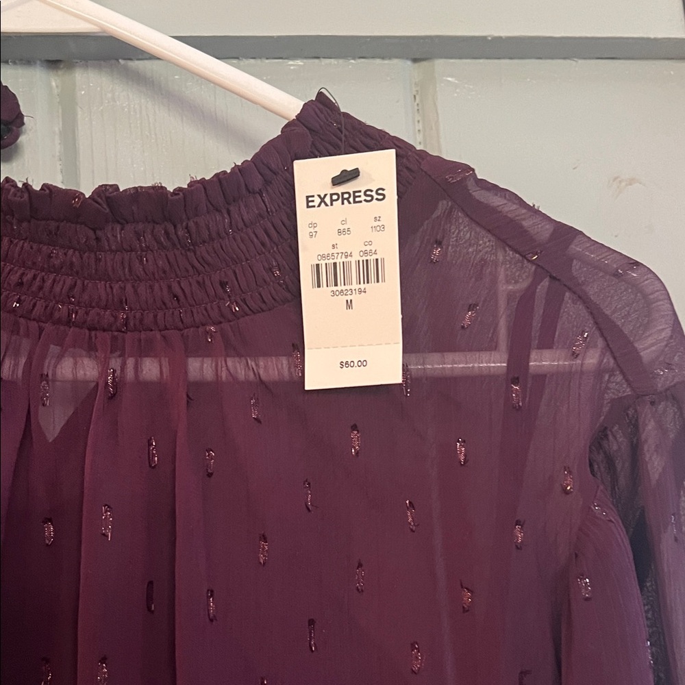 Express Plum Sheer Smocked Waist & Neck Long Sleeve Blouse - Picture 2 of 5